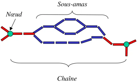 Figure II.5 : Représentation schématique d'une chaîne de l'amas infini dans le cadre du modèle NLB.