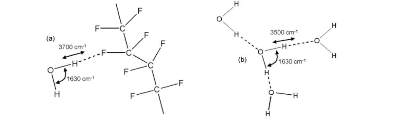 Fig. 2.10 – Valeurs des vibrations d’´ elongation OH et de d´ eformation HOH de la mol´ ecule H 2 O en fonction du type d’eau : (a)-eau en interaction avec le squelette CF 2 et (b)-eau ”bulk”, d’apr` es [7, 37, 68]