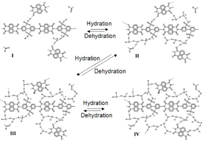 Fig. 2.19 – M´ ecanismes d’hydratation de la membrane homopoly- homopoly-m` ere : structure de la membrane s´ ech´ ee (I) puis structure de la membrane ` a 15%, 65%, 90% (II, III, IV), d’apr` es Jamroz et Mar´  e-chal [87]