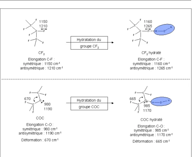 Fig. 2.44 – Bandes d’absorption associ´ ees au sc´ enario d’hydratation des groupes CF 2 et COC