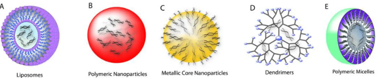 Figure 15. The examples of siRNA nanocarriers. Figure from Gavrilov &amp; Saltzman, 2012 