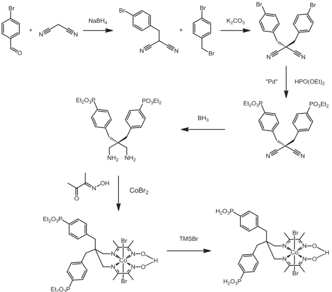 Figure  I.13.  Synthesis  scheme  of  the  benzylphosphonic-functionalized  [Co III (DO)(DOH)pnL 2 ]  complex