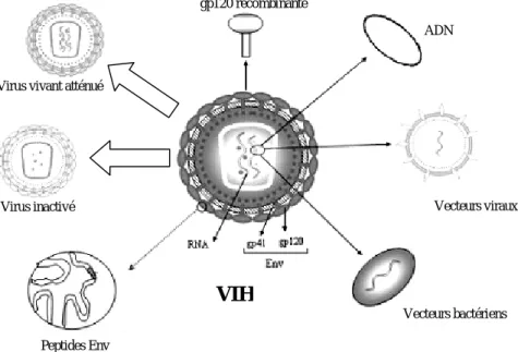 Figure 6 : stratégies vaccinales développées contre le VIH 180