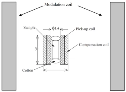 Figure 2.14: Schema of the pick coil used in the field modulation technique.