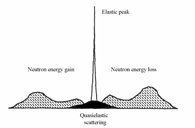 Figure 1. Représentation d’un spectre de diffusion incohérente de neutrons en fonction du  transfert d’énergie