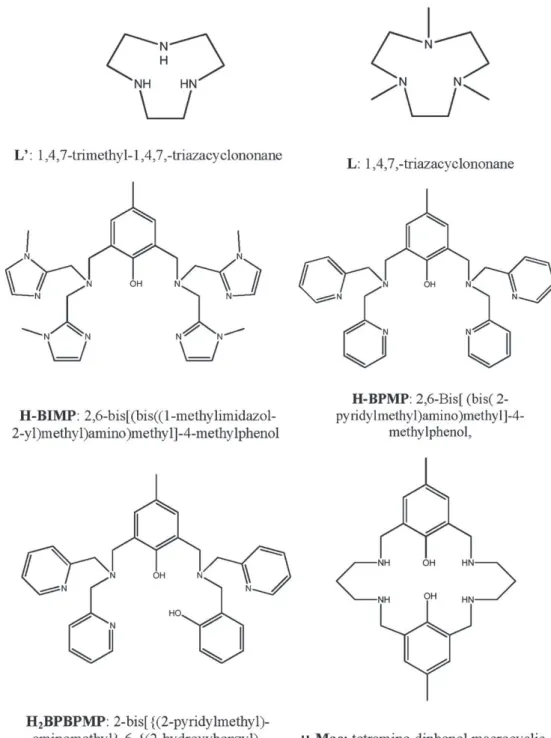 Fig. 18illustrates the X-ray structure of the unsymmetrical com- com-plex with Fe bound by 1,4,7-trimethyl-1,4,7,-triazacyclononane.