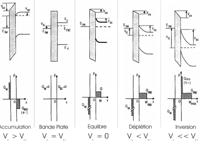 Figure 3.2: Les différents régimes d’une structure MOS (cas d’un semiconducteur de type n)