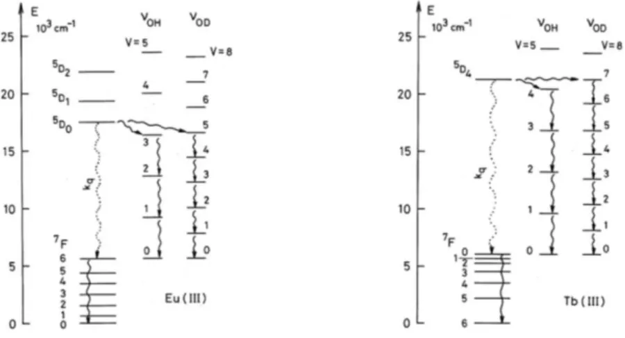 Figure I-30 : Désexcitation vibrationnelle des complexes d’Eu(III) et Tb(III) dans l’eau légère et l’eau 
