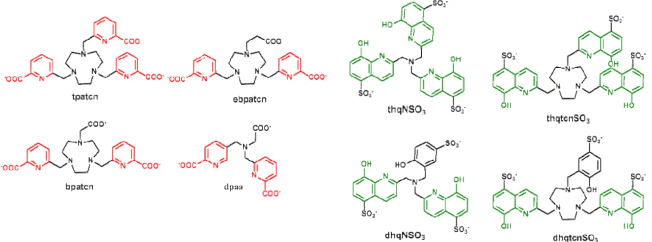 Figure I-34 : Ligands précédemment dév