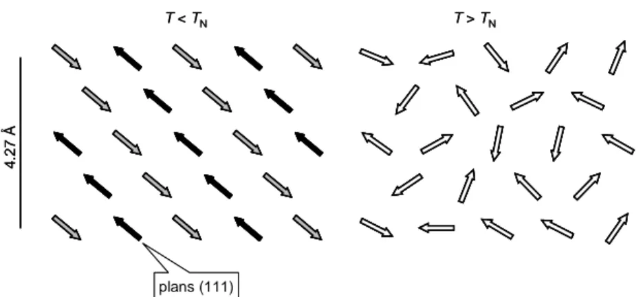Fig. 2.13. Orientation typique des spins dans un matériau antiferromagnétique, ici : CoO