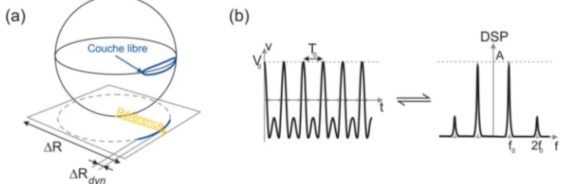 Fig. II.2 – (a) Illustration de la trajectoire de l’aimantation et magnétorésistance associée