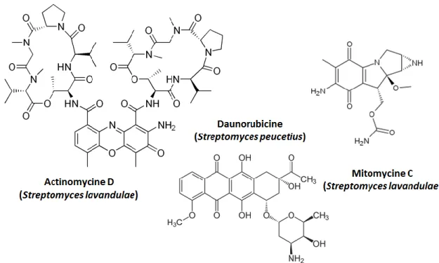Figure 3 : Quelques structures de produits naturels ayant des propriétés anticancéreuses