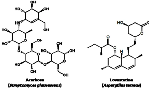 Figure 6 : Quelques structures de produits naturels ayant des activités inhibitrices d’enzymes