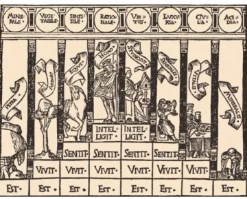 Figure 1 – Représentation de la scala naturae à la Renaissance. 