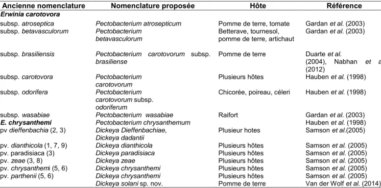 Tableau I.1 Récapitulatif de la nomenclature des espèces de Pectobacterium et Dickeya