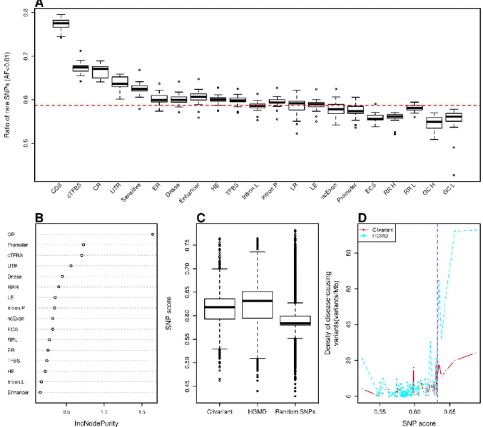 Figure  5.  Construction  of  the  rare  SNP  model.    A.  Fraction  of  rare  SNPs  (allele  frequency  <0.01) 