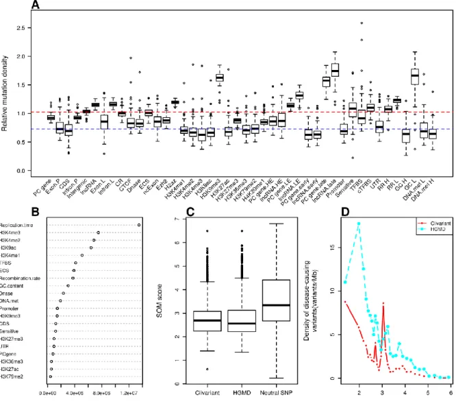 Figure 6. Construction of the Somatic Mutation (SOM) model for liver cancer. A. Relative density of  somatic  mutations  from  whole  genome  sequences  of  88  liver  tumors  (Alexandrov  et  al.,  2013),  associated  to  different  genome  features  (see