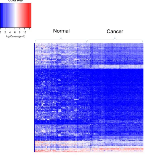 Figure  16.  Heatmap  showing  normalized  abundance  of  2208  lncRNAs  differentially  expressed  between lung cancer and normal lung tissues