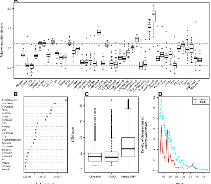 Figure S1.   Construction of the Somatic Mutation (SOM) model for lung cancer.  A. Relative density  of somatic mutations from whole genome sequences of 24 lung cancer, associated to different genome  features  (see Methods for feature  details)