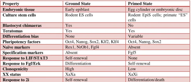 Table 1  Differences between the ground and primed cell states. Adapted from (Nichols and Smith, 2009) 