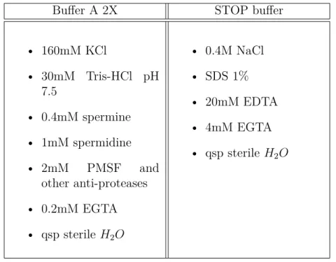 Table 4.1: Composition of buffers for in vivo DNA digestion by MNase enzyme