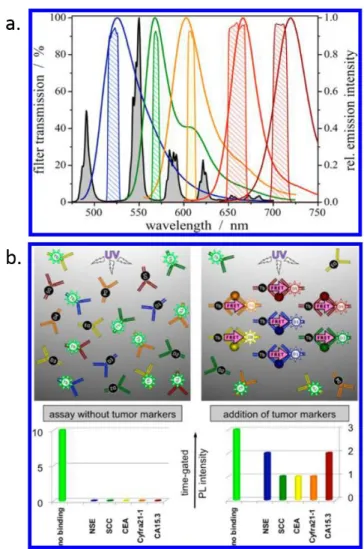 Figure I.26.  Détection multiplexée  par spectroscopie résolue en  temps par FRET. En  a, spectres de  luminescence du terbium donneur (en noir) et des colorants accepteurs, et spectres de  transmission  des filtres optiques passe-bande utilisés pour la dé