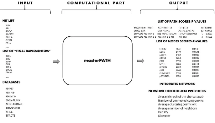 Figure 2-1. Overview of masterPATH. 