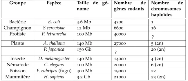 Table I.1 – Taille de génomes et nombre de gènes pour plusieurs organismes