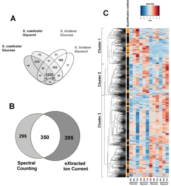 Figure 2.  Comparative analysis of the proteomes of S. lividans (TK24) and S. coelicolor (M145) grown on R2YE  medium limited in phosphate (1 mM) with either glucose or glycerol as main carbon source, for 36, 48 and 72 h