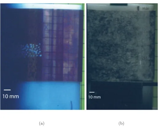 Figure 4: Visualization of different markings: with grid (a) or speckle (b).