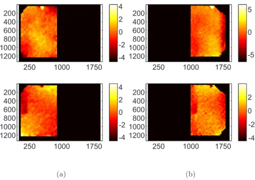 Figure 9: Measured distortion taking into account the stereoscopic mirrors, left (a) and right (b) mirrors