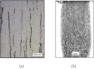 Figure 2: (a) 304L microstructure made of austenitic grains (gray) with ferritic residual grains (black)
