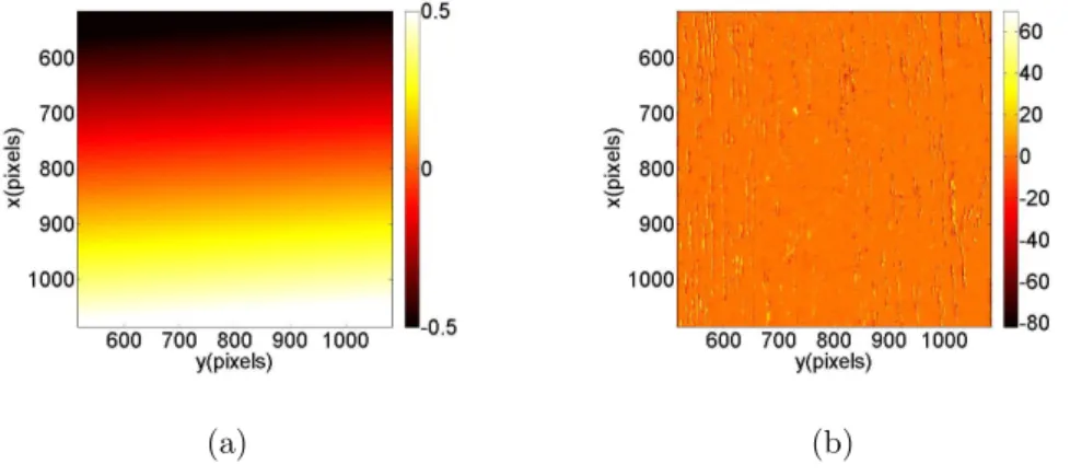 Figure 10: (a) Measured displacement field (expressed in pixel) along the x-axis by the first global approach (1 pixel ↔ 3.2 µm)