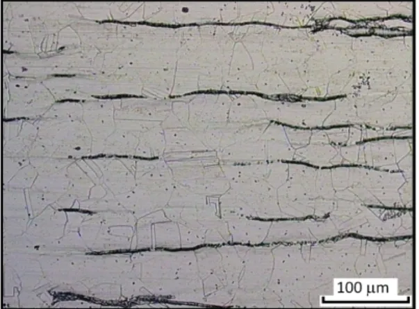 Figure 1: 304L microstructure made of austenitic grains (gray) with ferritic residual grains (black).