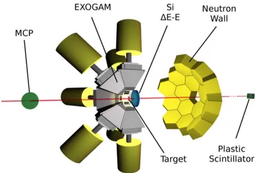 FIG. 2: (Color online) Schematic of the experimental setup showing the EXOGAM γ-array, the silicon ∆E-E annular  tele-scope and the Neutron Wall