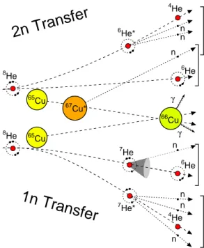 FIG. 4: (Color on-line) Heavy residue, fusion and neutron transfer excitation functions: (a) Measured partial residue cross-sections as a function of the center-of-mass energy for the 8 He+ 65 Cu system