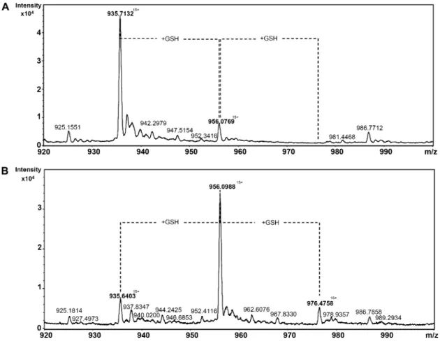 Figure 7. Electrospray ionization (ESI)-time-of-flight mass spectra of glutathionylated Trx-like2.1 C45S