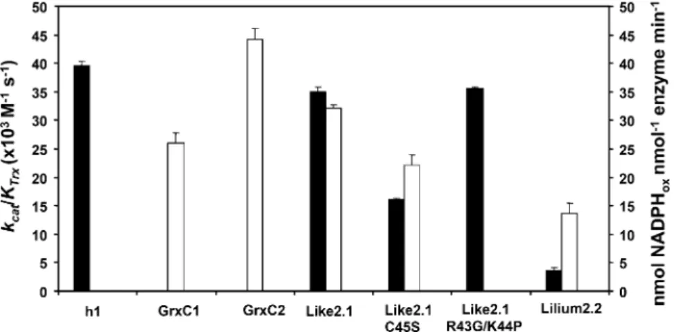Figure 4. Measurement of typical Trx or Grx activity. Black bars represent the catalytic  effi-ciency (k cat /K Trx ) of the tested proteins in a  typ-ical Trx assay measuring the capacity to reduce DTNB at the expense of AtNTRB