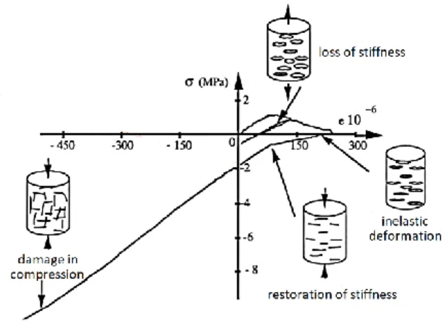Figure 1. Effect of damage on anisotropic concrete stiffness, reproduced from Ramtani (1990)