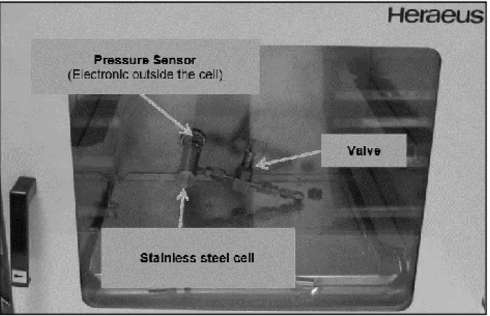 Figure 1. Picture of the pressure-measuring cell placed in an oven  Sealed glass ampoules measurements under vacuum 