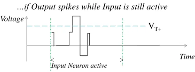 Figure 4.    Pulses for simplified STDP (voltage pulses as a function of time). 