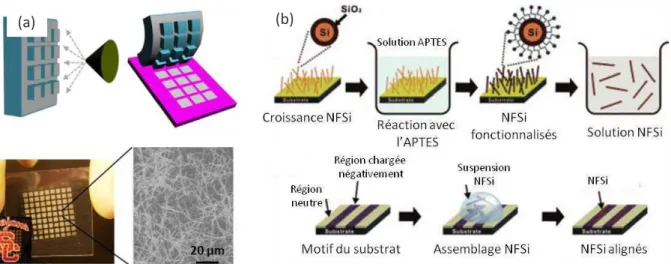 Figure I-9 : Méthode d’élaboration des nanonets. (a) Assemblage par spray de nanonet à base de nanofils d’argent et  transfert sur un substrat de verre par contact avec un matériau tampon, adapté de [61]