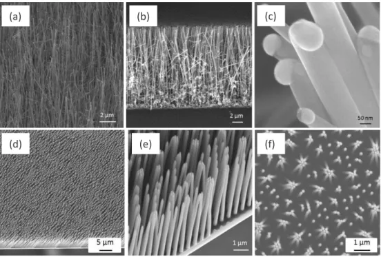 Figure II-2 : (a, b, c) Images MEB de nanofils de silicium de type n dégénérés synthétisés par VLS, (a) vue de dessus, (b) vue  en coupe et (c) à fort grossissement