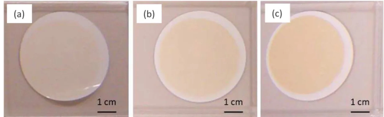 Figure II-5 : Membranes obtenues après filtration de solutions de nanofils ayant la même absorbance fixée arbitrairement  (0,06 à 400 nm) et différents volumes filtrés (a) 10 mL, (b) 20 mL et (c) 35 mL