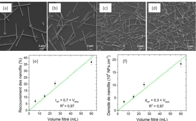 Figure II-10 : Etude des nanonets à base de nanofils de silicium gravés de 10 µm de long