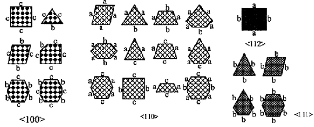 Figure 2.3 : Sections possibles de nanofils de silicium selon leur direction de croissance