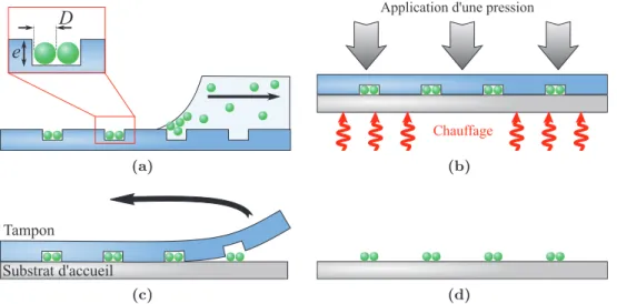 Figure 2.15 – Principe du transfert d’assemblages colloïdaux sur surface quelconque. (a) Assemblage capillaire sur substrat de PDMS