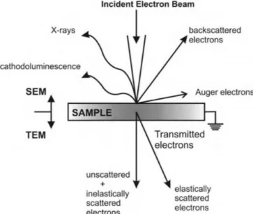 Figure 2.15: Schematic representation of interactions that result from an electron beam hitting a sample
