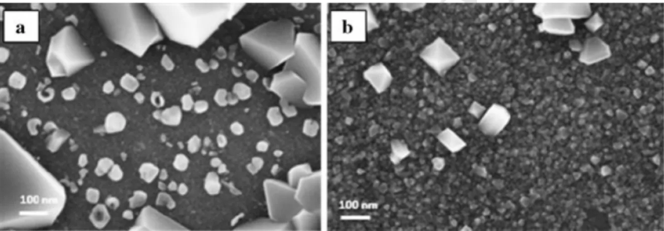 Figure 25 : Comparaison de la surface des échantillons d’acier 316L exposés en milieu primaire à 325°C par MEB a) non  irradié b) irradié aux protons  [Per13] .