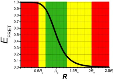 Figure 2.3. FRET efficiency as a function of the donor-acceptor distance (R) shows R -6  distance dependence and leads to a steep curve around 